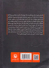 بینایی جیبی